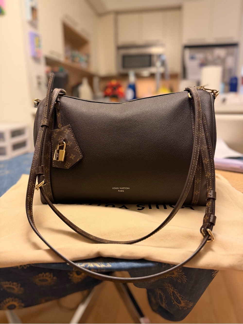Louis Vuitton Express MM Dark Brown Leather